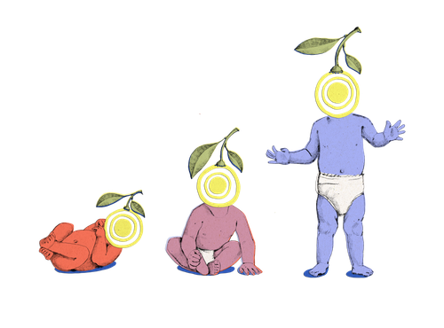 Illustration von Banykörpern mit Frucht auf Kopf